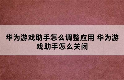 华为游戏助手怎么调整应用 华为游戏助手怎么关闭